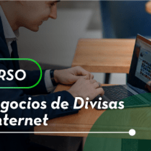 Curso en Negocios de Divisas Por Internet